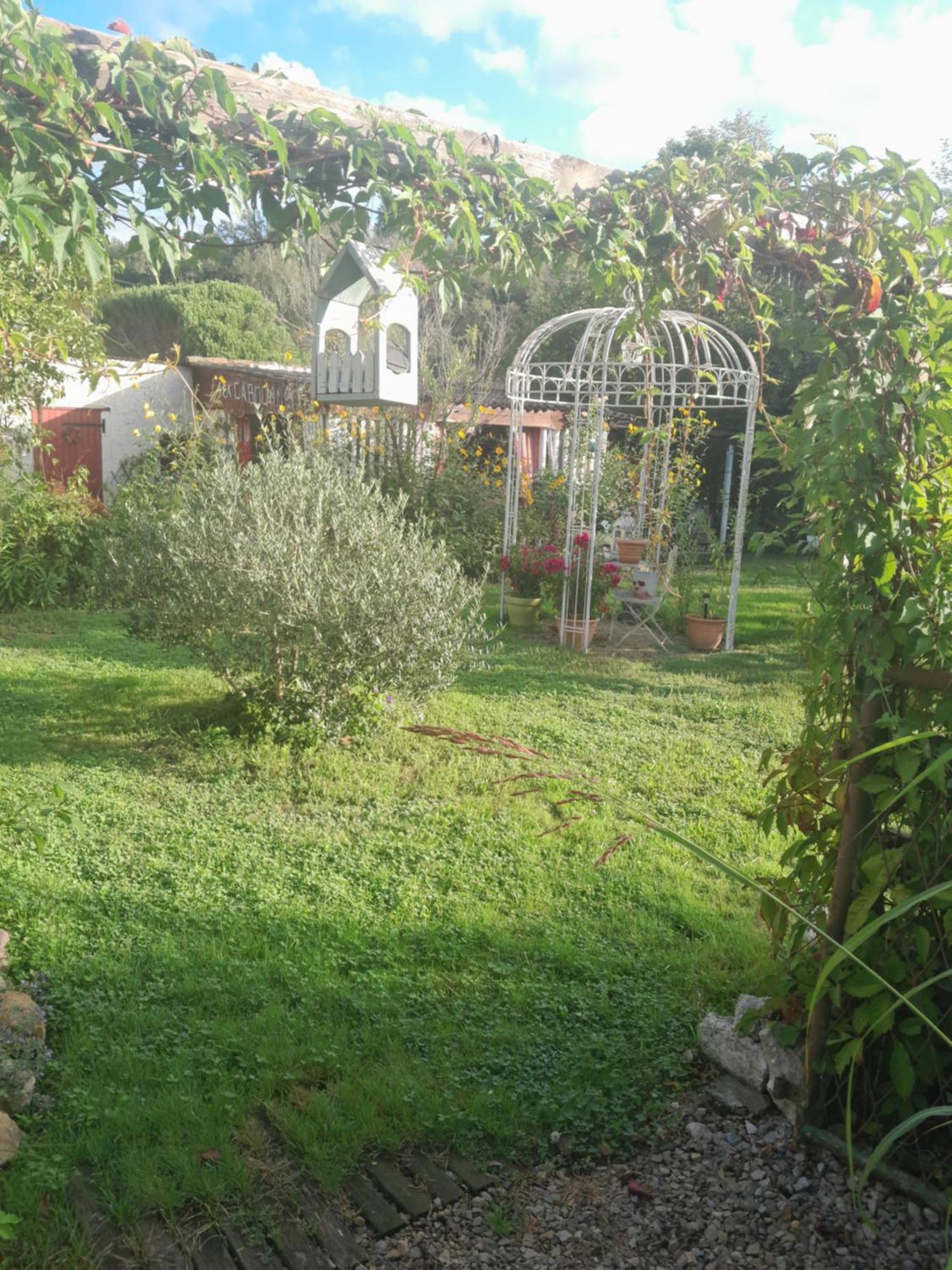 Chambre D'Hote Amitie Et Jardin Carmaux Esterno foto